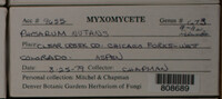 Image Associated With the Occurence